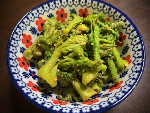 【旬味/山菜】タラの芽ごま和え